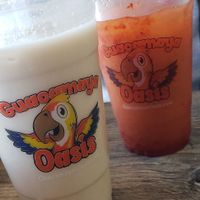 Mangonada & Vegan horchata at Guacamaya Oasis in Downey
