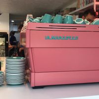 Adorable  at 27 Degrees in Palm Cove