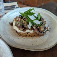  at Equium Social in Newcastle