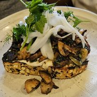 MUSHROOM TARTINE: sauteed mushrooms, herbed vinaigrette, macadamia cream, fennel salad at Equium Social in Newcastle