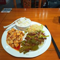 First portion with both Mapo Tofu and mock meats (forgot to take a picture of my second portion) at Leshan Giant Buddha 乐山素食餐厅 in Leshan