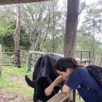   at Farm Animal Rescue in Dayboro