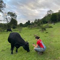   at Farm Animal Rescue in Dayboro