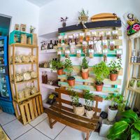 Nibbles, café, tostadas, herbal plants at Ndaroo Organic in Oaxaca
