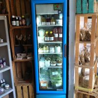 Ferment Central, yoghurt, fresh certified organic salads. at Ndaroo Organic in Oaxaca