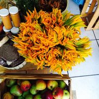 Flor de calabaza, pumpkin flower...delicioso!!! at Ndaroo Organic in Oaxaca