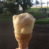 Vegan cone and sorbets in the park at La Gelateria in Sao Miguel