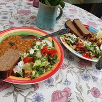Vegan dishes of the day at Gildi Toidukoda Metsikud Maitsed in Parnu