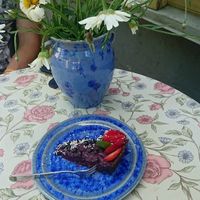 Raw vegan blueberry cheesecake at Gildi Toidukoda Metsikud Maitsed in Parnu