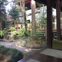 Lovely, quiet outdoor setting. at Taksu Garden Cafe in Ubud