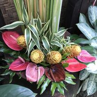 Gorgeousness in the restaurant  at Taksu Garden Cafe in Ubud