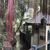 The grounds are breathtaking. Leave time to explore after your meal.  at Taksu Garden Cafe in Ubud
