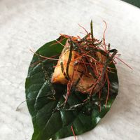 Eggplant in beetle leaf at Rick Shores in Burleigh Heads