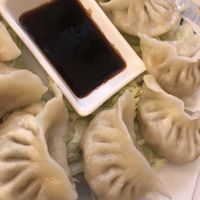 obligatory dumplings  at Formosa Food in Vienna