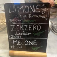 Some examples of vegan flavours. The vegan pistachio is 10/10.  at Gelato San Lorenzo in Rome