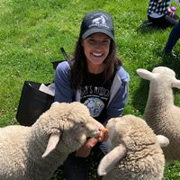 You can interact with the animals on a tour at Edgar's Mission in Lancefield