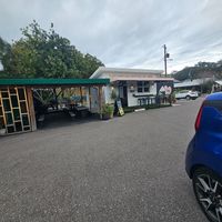  at Sweet Soul in Tampa