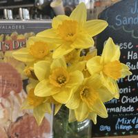   at Cadwaladers in Cardiff