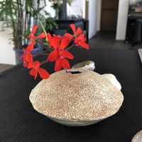Minimalist  at Holistic Cafe in Nakatsu