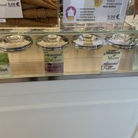Vegan flavours  at Gelateria Ara Macao in Albisola Superiore