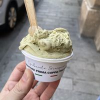 Pistachio  at Gelateria Ara Macao in Albisola Superiore