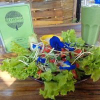 Green smoothie with green salad! at Blossom Cafe in Pai