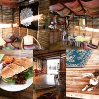 Cute Cafe. Pulled mushroom sandwich. Cat is from further down the road.  at Blossom Cafe in Pai