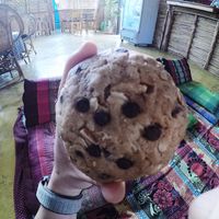 Vegan cookie at Blossom Cafe in Pai