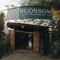 Blossom cafe at Blossom Cafe in Pai