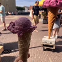 Vegan bosbessen ijs   at De IJszee in West-terschelling