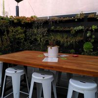 Terrace at Vegan Popup By XMarket in Venice