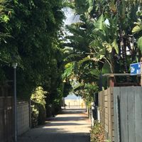 From the store you can see the beach 🏝😀 at Vegan Popup By XMarket in Venice