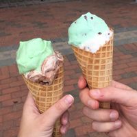 Pistachio / vanilla fudge, and mint chocolate chip / cookie dough in vegan waffle cones at Coney Waffle in Long Branch