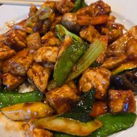 Asian vegetable in brown sauce with bean curd--so much tofu!!! delish!! at Saisaki in Newport News