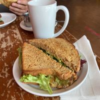 Box lunch vegan sandwich   at The Tall And Small Cafe in Antigonish