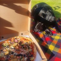 Takeaway vegan pizza at Pizza Punks in Belfast