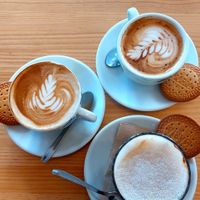  at Avocado Mallorca in Mallorca