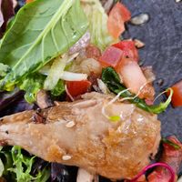  at Avocado Mallorca in Mallorca