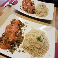 one vegan dish: courgette, stuffed with brunoise of eggplant, chestnut mushrooms and other vegetables with tomato-soycream sauce, with rice (17€). at Cafe Manger in Leuven