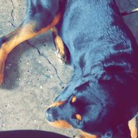 Chilled AF at Church - Temple of Fun in Sheffield