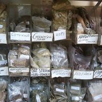 Herbs at Goodways Specialty Foods in New Westminster