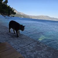 Incredible view at Silk in Korcula