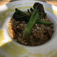 Risotto at Cafe Forty One in West London