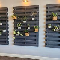  at Greens and Grains in Shrewsbury