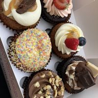   at Sugar Baby in Dee Why