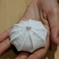 Merengue at Bonbon Collections in Montreal