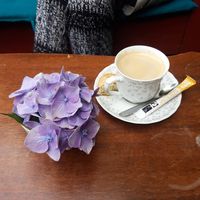 Le café avec son sucre bio et sa mignardise vegan at Harmonika in Dinan
