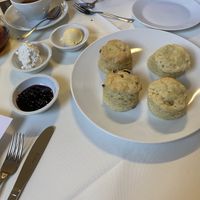 Scones with pots of blackcurrant conserve, cream and butter #Veganuary at The Vegan Cakery in Leicester