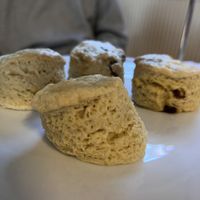 Scones  at The Vegan Cakery in Leicester