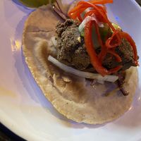   at Mexico 70 in Sunderland